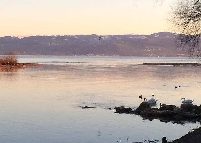 Am Bodensee * Kressbronn am Bodensee